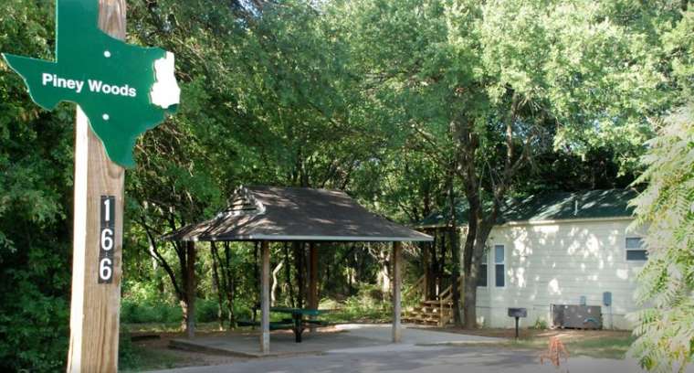 PineyWoods01