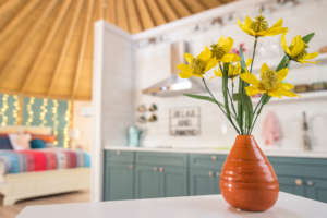 yurts-glamping-dfw10